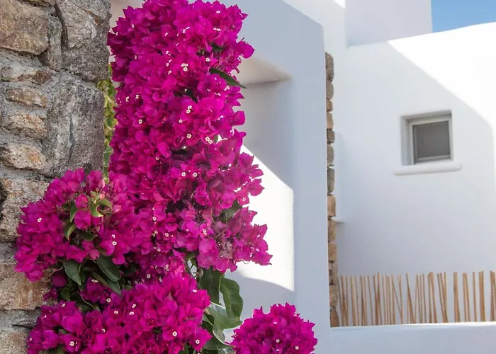 Alojamento de Acomodação e Pequeno-almoço The Summit Of Mykonos 4*