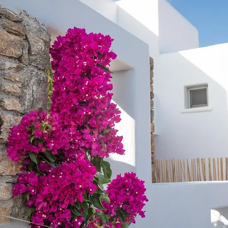 فندق مبيت وإفطار The Summit Of Mykonos 4*